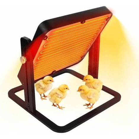 Plaque Chauffante Poussin,360° Inclinable Thermostat Réglable (1/5)