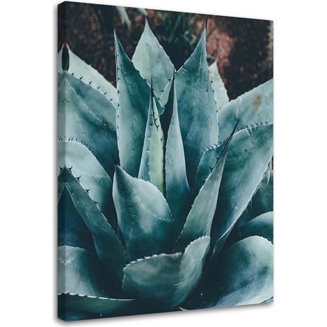 Tableau déco Fleur succulente Feuilles 70x100 (1/5)