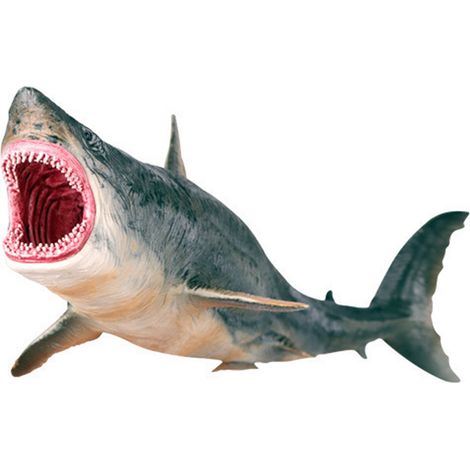 Ornement Requin en Plastique Vif - Jouet Éducatif sur les Animaux Marins, Idée Déco avec Gravure et Peinture Détaillée (1/5)