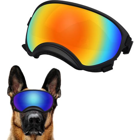 Lunettes de protection pour chiens de race moyenne à grande, protection UV, verres magnétiques transparents, coupe-vent, pour sports d'hiver. (1/5)