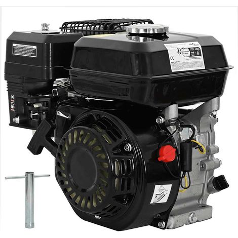 Benzinmotor 6,5 PS 4,8 kW Schwarz (1/5)
