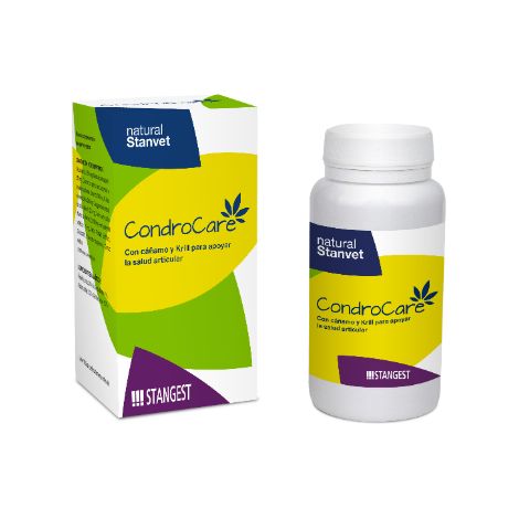Cane condrocar piМ stangar gato 30cpd