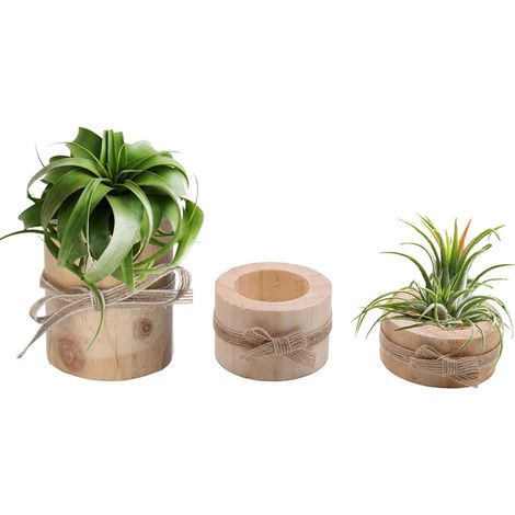 Support en bois pour plantes aériennes Plante-air en bois contenant 3 plante-air en bois Terrarium Holder Succulent Tea light Holder (1/5)