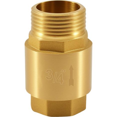 Clapet anti-retour en laiton 3/4 pouce, étanche, convient aux pompes à eau et aux jardins. (1/4)