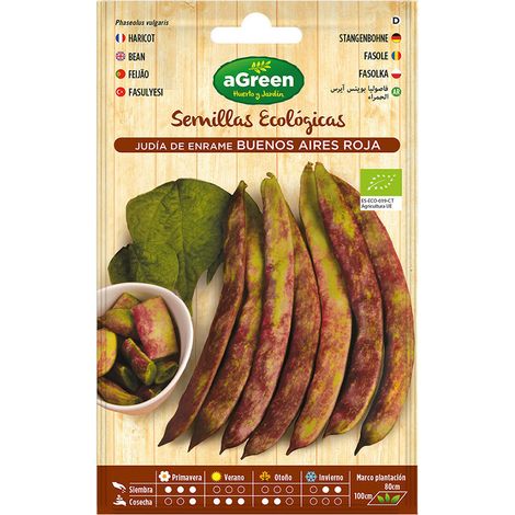 Sachet De Graines Eco Haricots Buenos Aires Red Agreen (1/2)