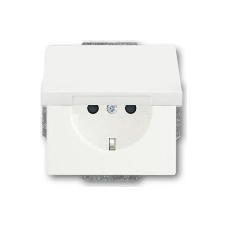 Busch-Jaeger 20 EUK-884 SCHUKO® Steckdosen-Einsatz mit Klappdeckel (1/5)