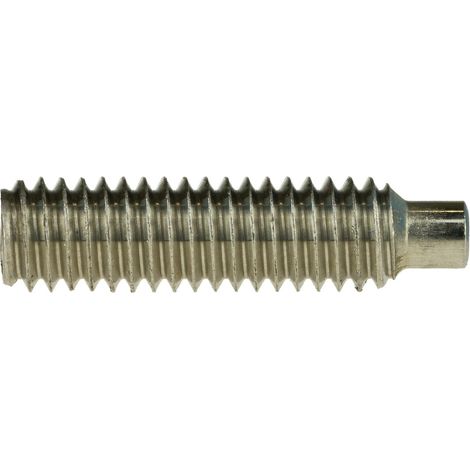 Reidl DIN 915 Gewindestifte M16x25, mit Innensechskant/Zapfen, A4 blank