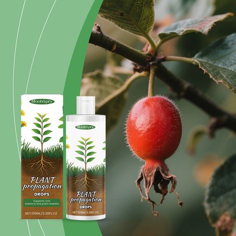 Plant nutrient drops promote root growth and are a general-purpose hydrating and nourishing agent for flower cultivation -- 100ml -- BIEMMEDUE (1/5)