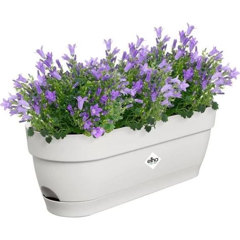 Vaso rettangolare da Balcone Elho 50 cm Bianco Rettangolare Plastica (1/5)