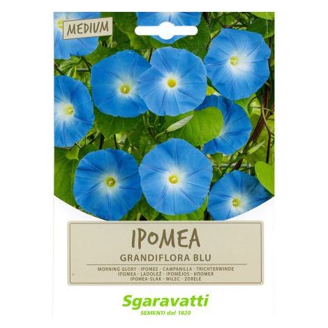 SEMI PER PRATO UNIVERSALE ipomea grandiflora blu 10 PZ
