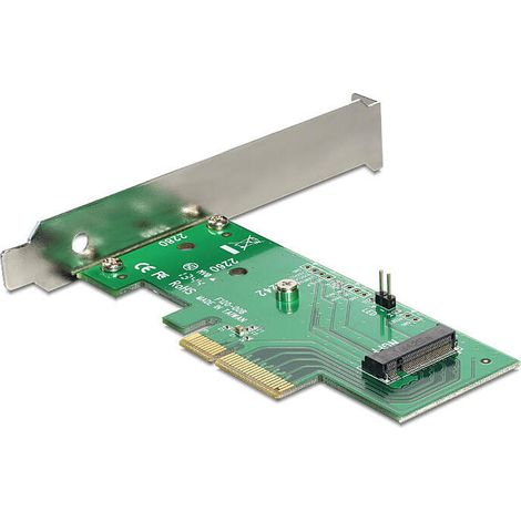 PCI Express Card 1x M.2 NGFF DeLOCK (1/3)
