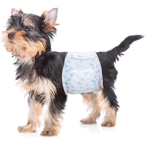 Paquet de 26 Couches jetables pour Chiens mâles, Couches enveloppantes pour Chiens mâles, Taille 15-33 cm Chiot Extra Petit