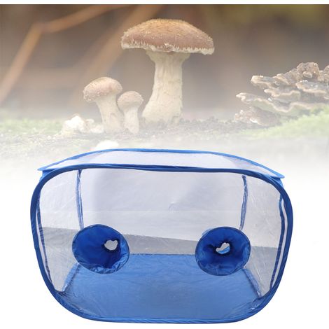 [Serie de cultivo de setas] Tienda de campaña portátil de PVC con 2 brazos y conectores, kit de cultivo de setas para fines de investigación. (1/5)