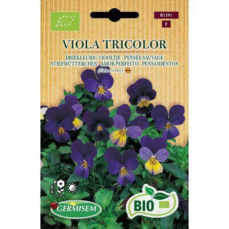 Bio Graines Pensée sauvage