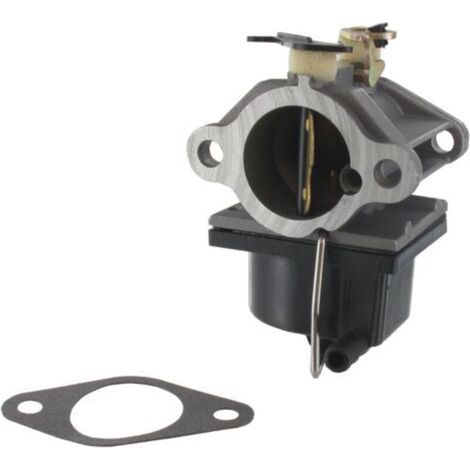 Carburateur adaptable TECUMSEH OHV110 – Remplace 640065A, 640065 – Entraxe 53mm pour moteurs OHV – Solution efficace moteur - ov358ea (1/2)