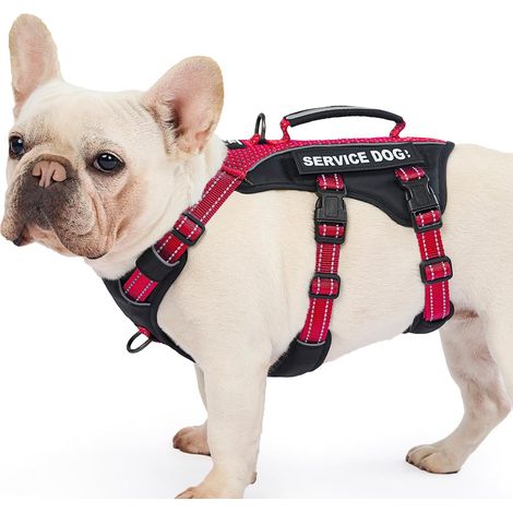 Harnais Chien d’Assistance avec 6 Écussons, Harnais Anti Traction pour Chien avec Poignée, Harnais Anti Fugue Chien, Réfléchissant et Réglable, pour Dressage et Promenade (Rouge,M) (1/5)