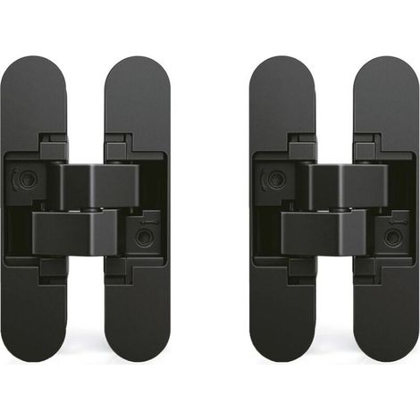 Charnière Invisible pour Porte Lourde, Lot de 2, Charge 35 kg, Ouverture 180°, Épaisseur 35-45 mm, Alliage de Zinc Noir (1/5)