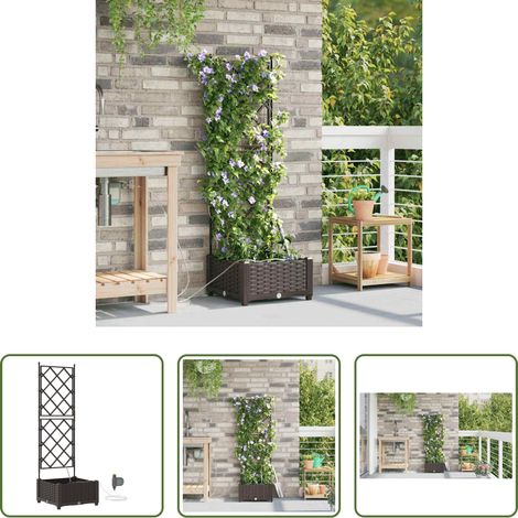 Pot de jardin - Cache-pot de jardin Marron 40 x 40 x 126 cm Acier (1/5)