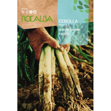 White Cipolla di Rocalba Lisbonne (Calе«ots) 4G x 10 buste