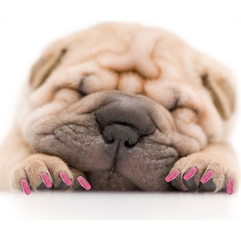 100 protège-griffes souples en PVC pour chien, accessoire de toilettage (rose cristal XL) (1/5)