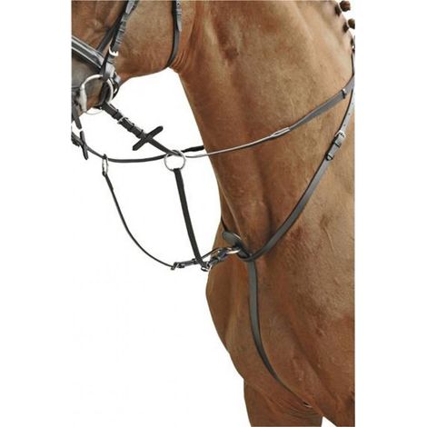 Martingala inglese in cuoio bovino con guarnizioni in acciaio inossidabile: Pony, Nero (1/3)