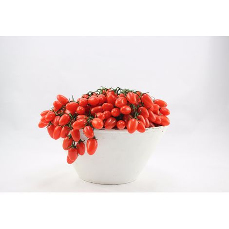 GRAPPOLO POMODORI CILIEGINO 22CM ACCESSORI DECORO CASA INTERNI (1/5)