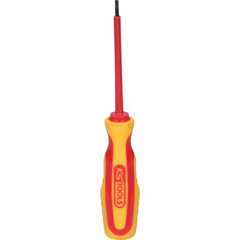 Tournevis pour vis à fente, 2,5mm (1/5)