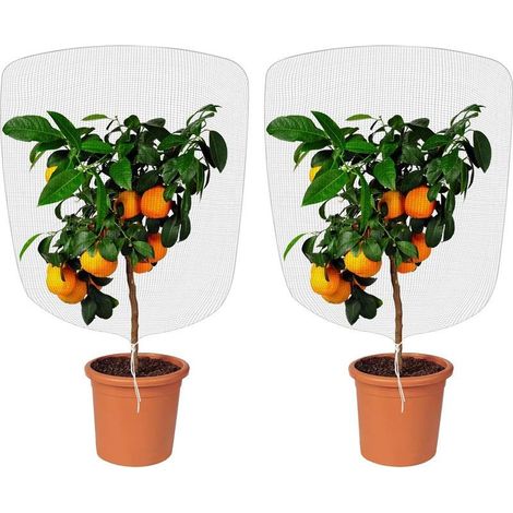 Filet Anti Insecte, 2pcs Filet de Protection Contre Les Insectes, Filets de Jardin Anti Insectesavec Cordon de Serrage Maille Fine pour Protéger Les Plantes en Pot (1 x 1,5 m) (1/5)