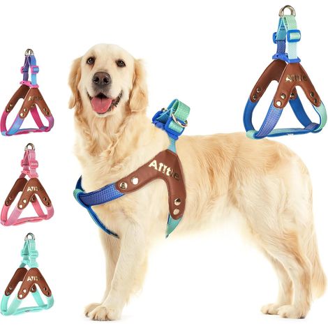 Harnais Anti-Traction pour Chien - Rembourrage réfléchissant Respirant et réglable, Confort sans étouffement pour Chiens de Petite, Moyenne et Grande Taille, Dégradé de Bleu S (1/5)