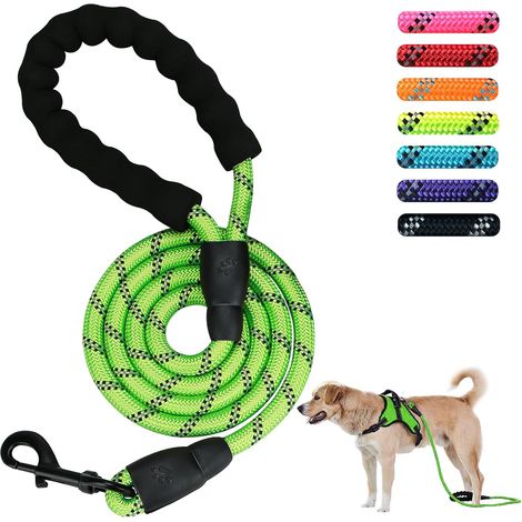 Laisse puissante pour animaux de compagnie 5 FT 1.5M (verte)