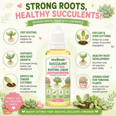 KineShineX Succulent Cutting and Rooting Solution - Special for Leaf and Stem Propagation (1/4)
