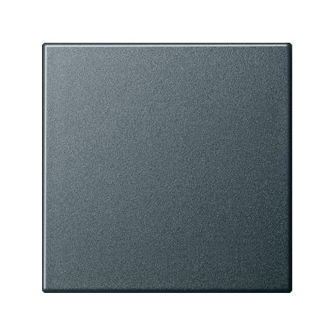 GIRA 029628 Wippe Wechsel System 55 Anthrazit-'1021703' (1/5)