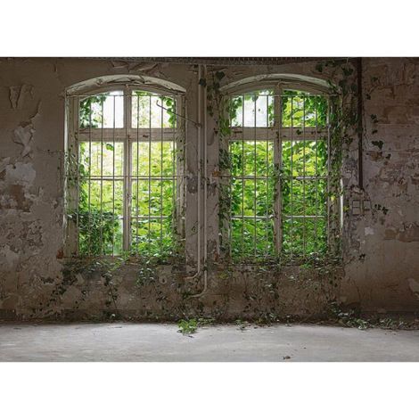 A.S. Creations – Papier peint panoramique nature – Motif fenêtre – Tapisserie verte et blanche pour chambre – Résistant à la lumière et facile à nettoyer (1/4)