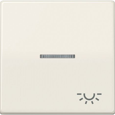 Jung Bilanciere 1 posto, simbolo luce, con conduttore di luce, duroplastica, serie AS, bianco AS 591 KO5L