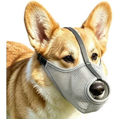 Muselière douce pour chien Protection buccale canine en respirante  Muselière pour chien taille moyenne Contre aboiements, morsures, léchage, mastication, pour dressage et promenad (1/5)