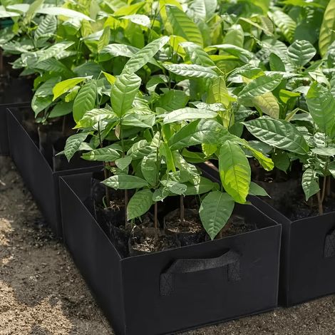 Grande capacité, sac de plantation pliable multifonctionnel avec poignée - Fait de tissu non tissé durable noir