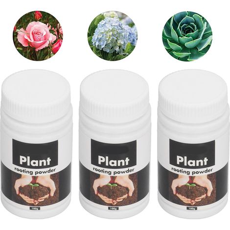 Poudre d'enracinement pour boutures (3 sachets/100 g), idéale pour le repiquage, les arbres, les semis et les arbres fruitiers. (1/5)