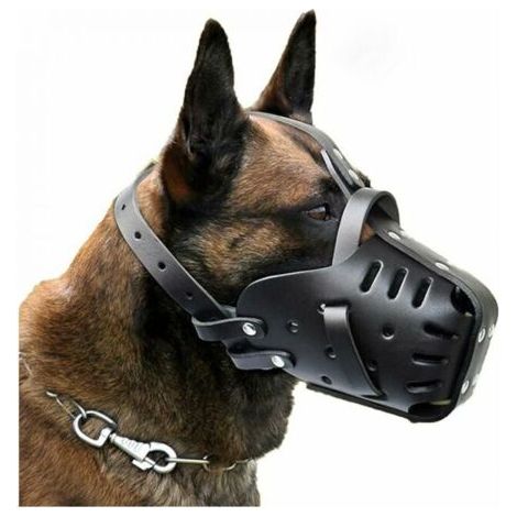 Muselière en cuir pour chiens taille moyenne et grande – Confort optimal – Design respirant pour dressage et protection – Ajustable (1/5)