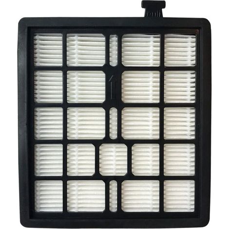 Ede Filtre de rechange compatible avec les aspirateurs Dirt Devil (F45) - convient aux modèles Pet Canister SD4000 et EZ Lite Canister SD40010 (références 2KQ010700 et 2-KQ0107-000) F45 F-45 (1 unité) (1/3)