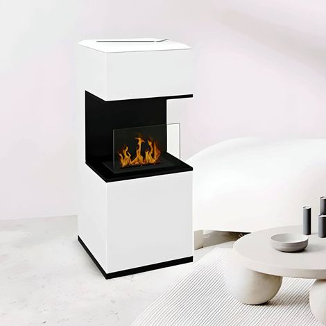 Dmora Bioethanol Kamin Dskorupsk 38x38x100h cm Weiß (1/3)