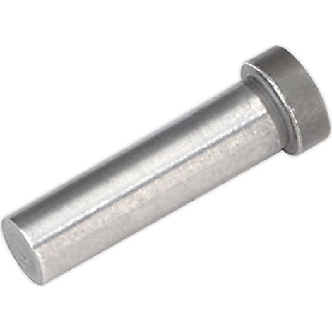 Sealey Punch for SA36 SA36.V2-06 (1/2)