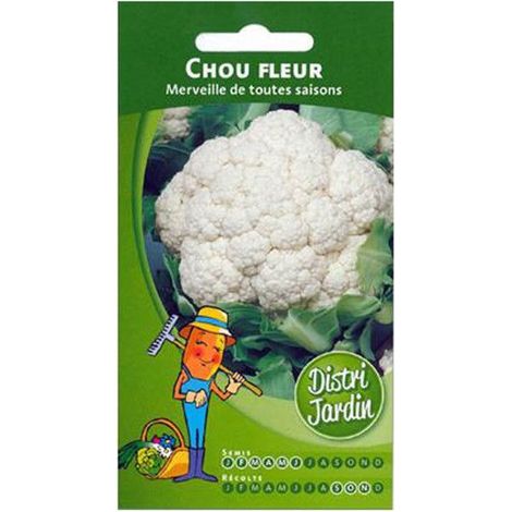 Sachet de graines de chou fleur