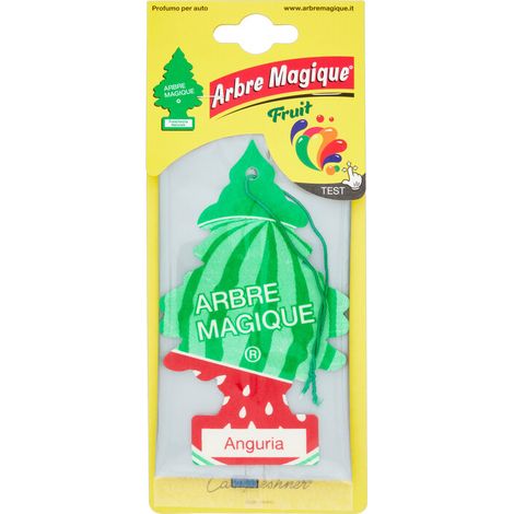 ARBRE MAGIQUE FRUIT ANGURIA Q.TA 24