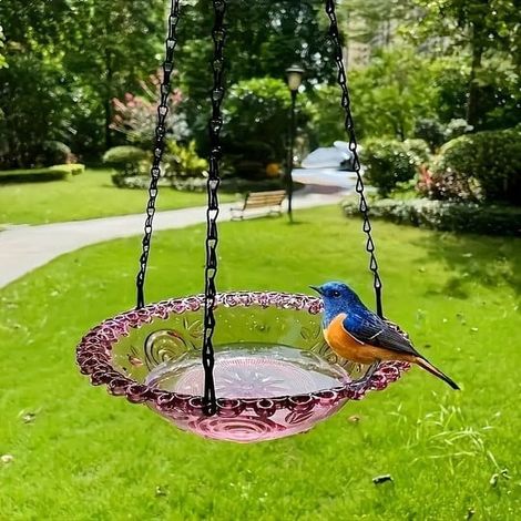 Bain Oiseaux Suspendu - Distributeur Nourriture Oiseaux - 2 en 1 Bain et Distributeur pour Extérieur - Acrylique - 1 Pièce (1/4)