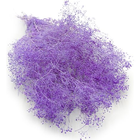 Yeso Estabilizado MINI - (gypsophila) - Lila