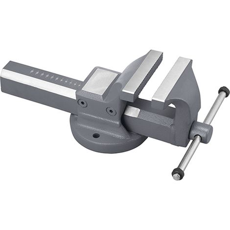 Schraubstock 125 mm aus Stahl Fervi 0135/125