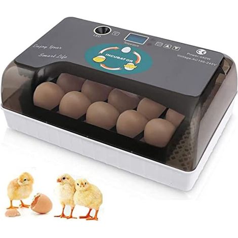 Incubateur d'œufs pour enfants, 12 œufs, entièrement automatique, numérique, avec contrôle de la température et rotation automatique, pour l'éclosion de poulets, canards, oies, cailles