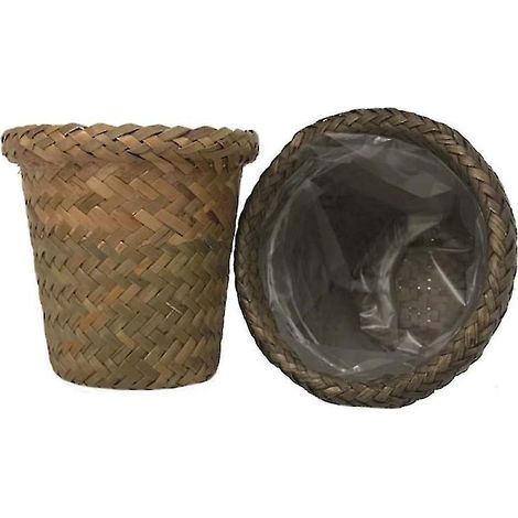 Lot de 2 pots pour plantes succulentes (1/3)