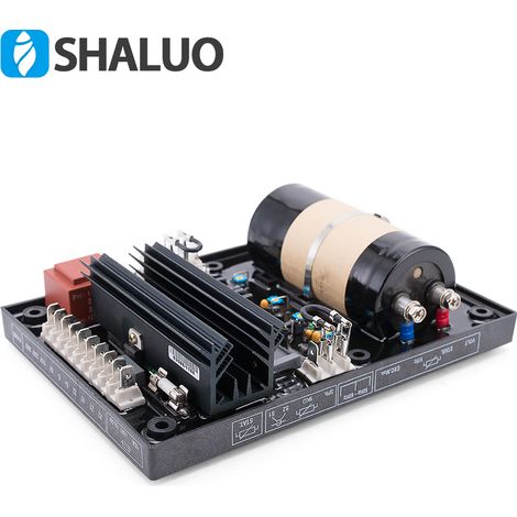 Régulateur de tension automatique AVR, régulateur de tension d'excitation R448 (1/5)