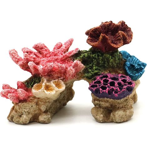 Set 2 pezzi Amtra Deko Pietra Ad Arco Con Coralli colori assortiti